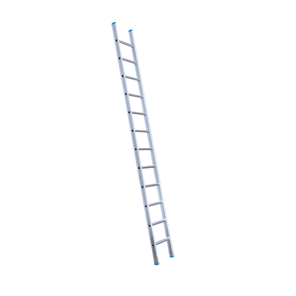 Eurostairs Ladder enkel recht 1x12 sporten