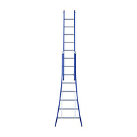 Eurostairs Reform ladder dubbel uitgebogen 2x8 sporten BLAUW