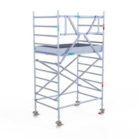 Rolsteiger Original  135x190 4,2m werkhoogte carbon vloer tegen de gevel