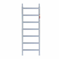 Rolsteiger Original  75x190 8,2m werkhoogte carbon vloer tegen de gevel
