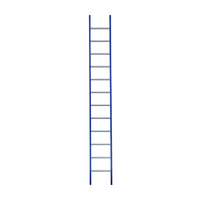 Eurostairs Ladder enkel recht 1x12 sporten BLAUW