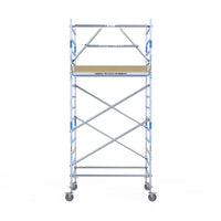Rolsteiger Alumexx Extra 135x190 5,2m werkhoogte tegen de gevel
