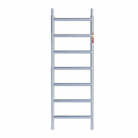 Rolsteiger Original 75x250 5,2m werkhoogte tegen de gevel