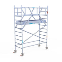 Rolsteiger Professional 90x250 4,2m werkhoogte vrijstaand