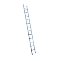 Eurostairs Ladder enkel recht 1x12 sporten