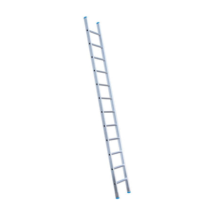 Eurostairs Ladder enkel recht 1x12 sporten