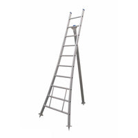 Eurostairs Plukladder met 10 treden