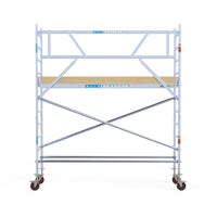 Rolsteiger Basic 75x305 4,2m werkhoogte tegen de gevel