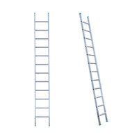 Eurostairs Ladder enkel recht 1x12 sporten