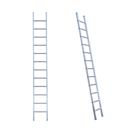 Eurostairs Ladder enkel recht 1x12 sporten