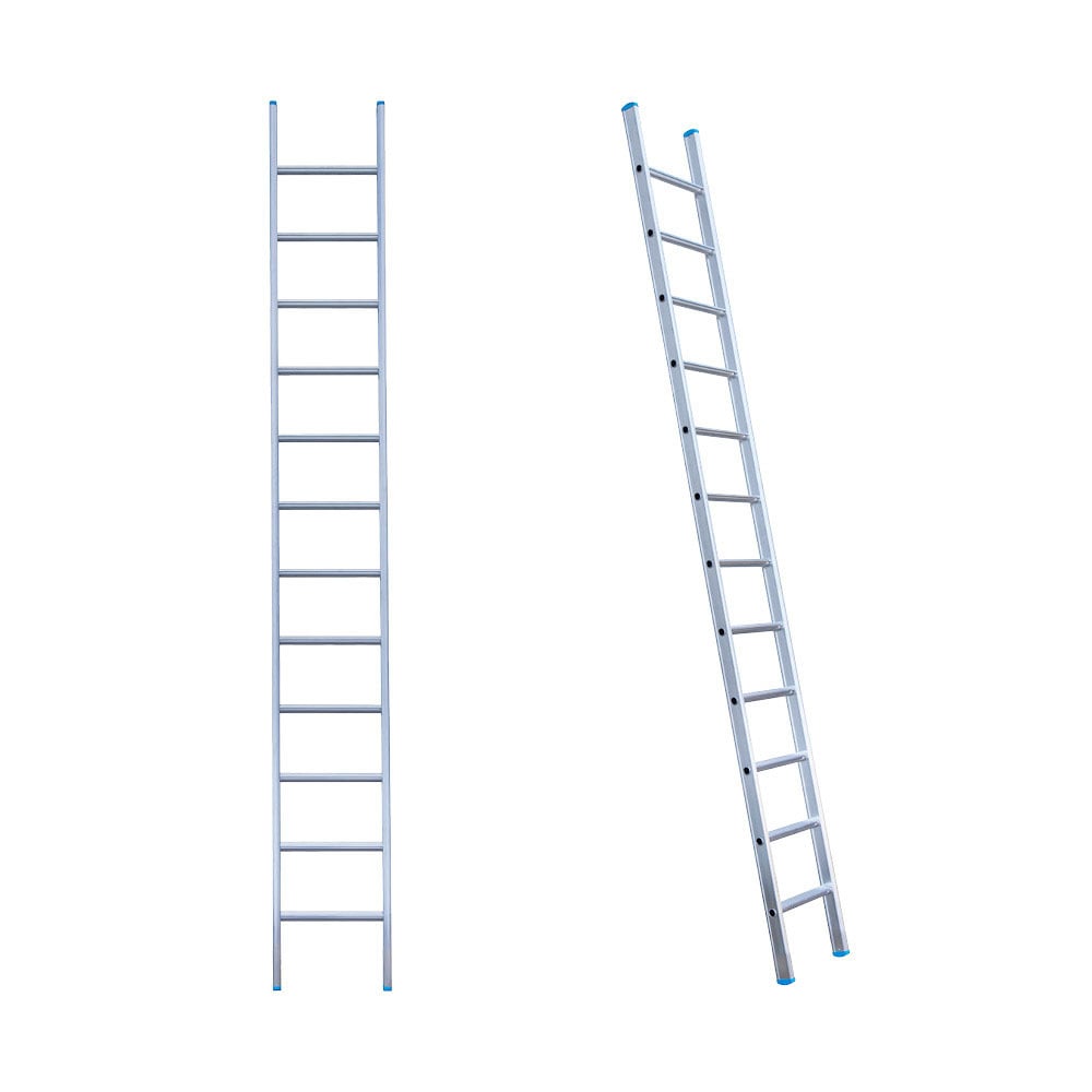 Eurostairs Ladder enkel recht 1x12 sporten