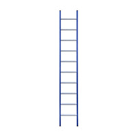 Eurostairs Ladder enkel recht 1x10 sporten BLAUW