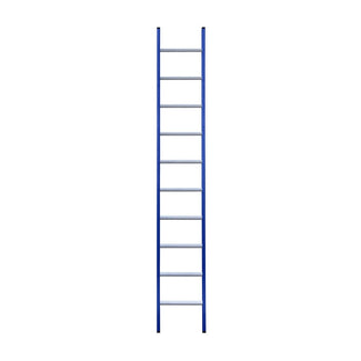 Eurostairs Ladder enkel recht 1x10 sporten BLAUW