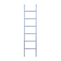 Eurostairs Ladder enkel recht 1x6 sporten