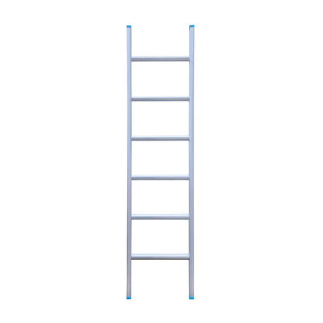 Eurostairs Ladder enkel recht 1x6 sporten