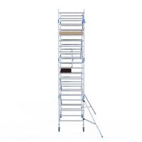 Rolsteiger Alumexx Extra 135x250 7,2m werkhoogte tegen de gevel