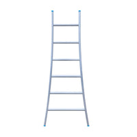 Eurostairs Ladder enkel uitgebogen 1x6 sporten