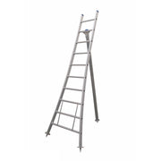 Eurostairs Plukladder met 10 treden