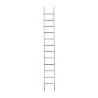Eurostairs Ladder enkel recht 1x12 sporten