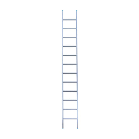 Eurostairs Ladder enkel recht 1x12 sporten