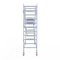Rolsteiger Professional 90x305 4,2m werkhoogte vrijstaand