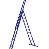 ASC XD Premium Ladder 3x12 recht met stabiliteitsbalk