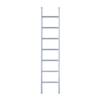 Eurostairs Ladder enkel recht 1x7 sporten